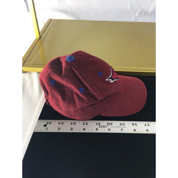 Vintage Logo Athletic Arizona Cardinals NFL Baseball Cap Hat Kids Strapback - Picture 11 of 12